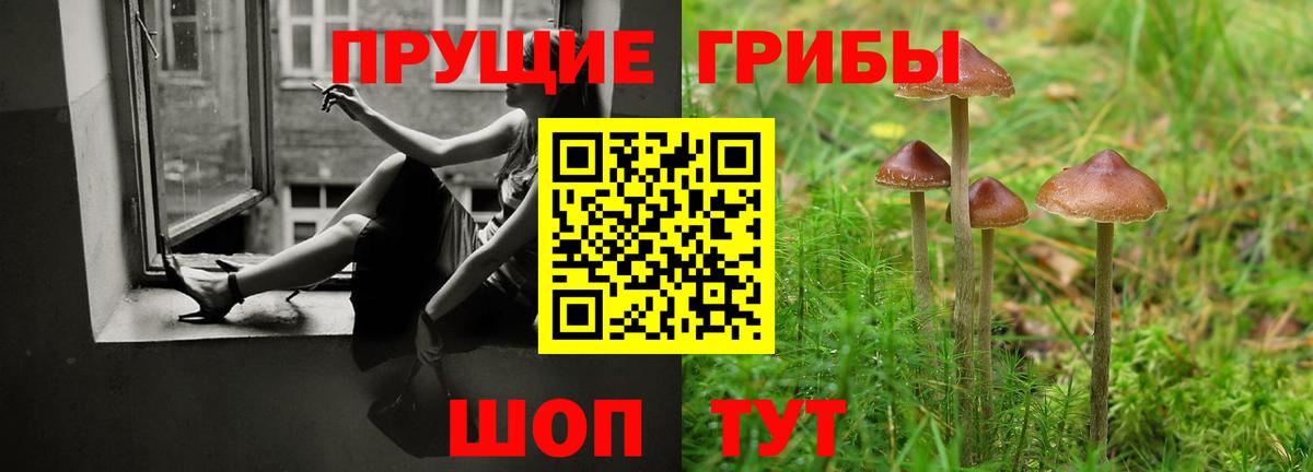 где можно купить наркотик  Вход с VPN  Кирово-Чепецк  Галлюциногенные грибы MAGIC MUSHROOMS 